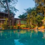 restaurant seo case studies